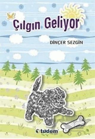 Çılgın Geliyor