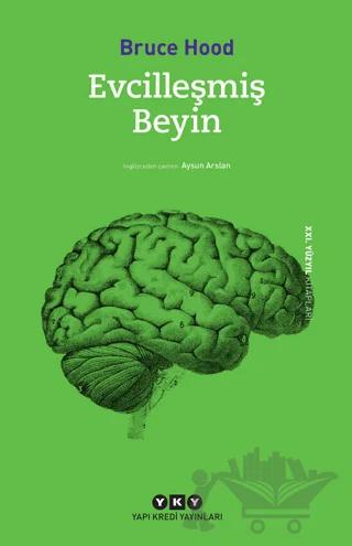 Evcilleşmiş Beyin