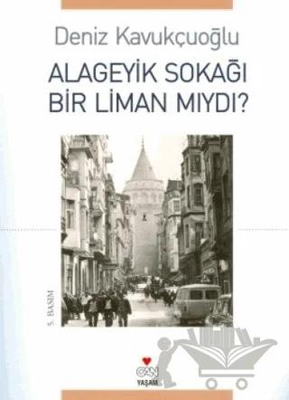 Alageyik Sokağı Bir Liman mıydı?
