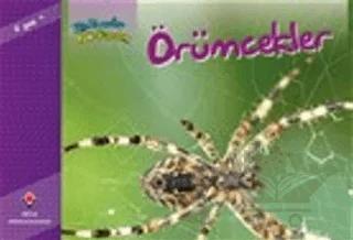 Bir Zamanlar Korkardım - Örümcekler