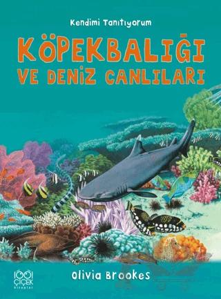 Köpek Balığı ve Deniz Canlılarına Soralım