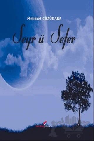 Seyr ü Sefer – Mehmet Gözükara – Berikan Yayınevi kitap kapağı