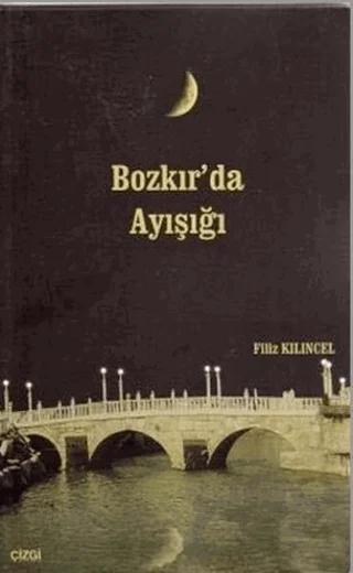 Bozkır’da Ayışığı – Filiz Kılıncel – Çizgi Kitabevi Yayınları kitap kapağı