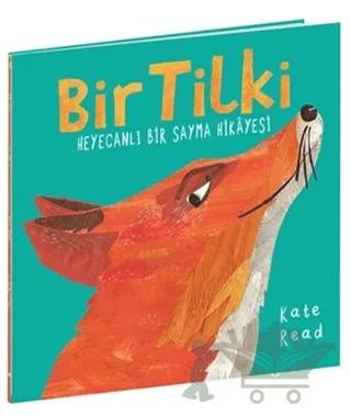 Bir Tilki