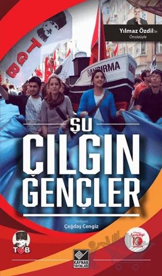 Şu Çılgın Gençler