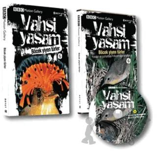 Vahşi Yaşam 2 - Böcek Yiyen Türler