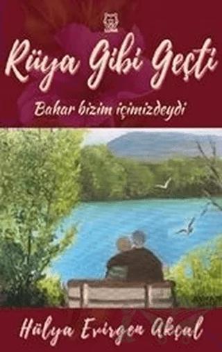 Rüya Gibi Geçti