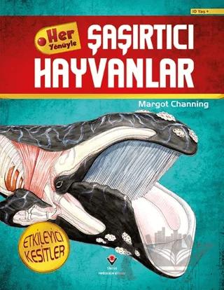 Her Yönüyle Şaşırtıcı Hayvanlar