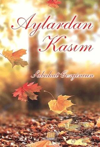 Aylardan Kasım