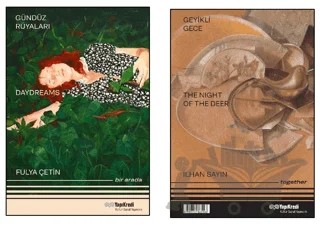Gündüz Rüyaları Daydreams - Geyikli Gece The Night of the Deer – Fulya Çetin, Elif Dastarlı, Zehra Begüm Kışla, İlhan Sayın, Eda Yiğit, Didem Yazıcı – Yapı Kredi Yayınları kitap kapağı