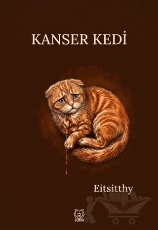 Kanser Kedi – Eitsitthy – Luna Yayınları kitap kapağı