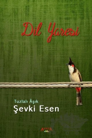 Dil Yaresi – Şevki Esen – Altaylı Yayınları kitap kapağı
