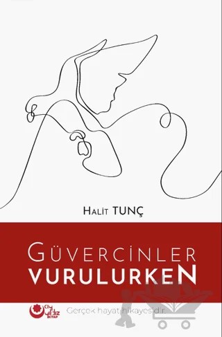 Güvercinler Vurulurken – Halil Tunç – Ayyıldız Kitap kitap kapağı