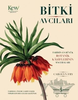 Bitki Avcıları (Kutulu) – Carolyn Fry – İş Bankası Kültür Yayınları kitap kapağı