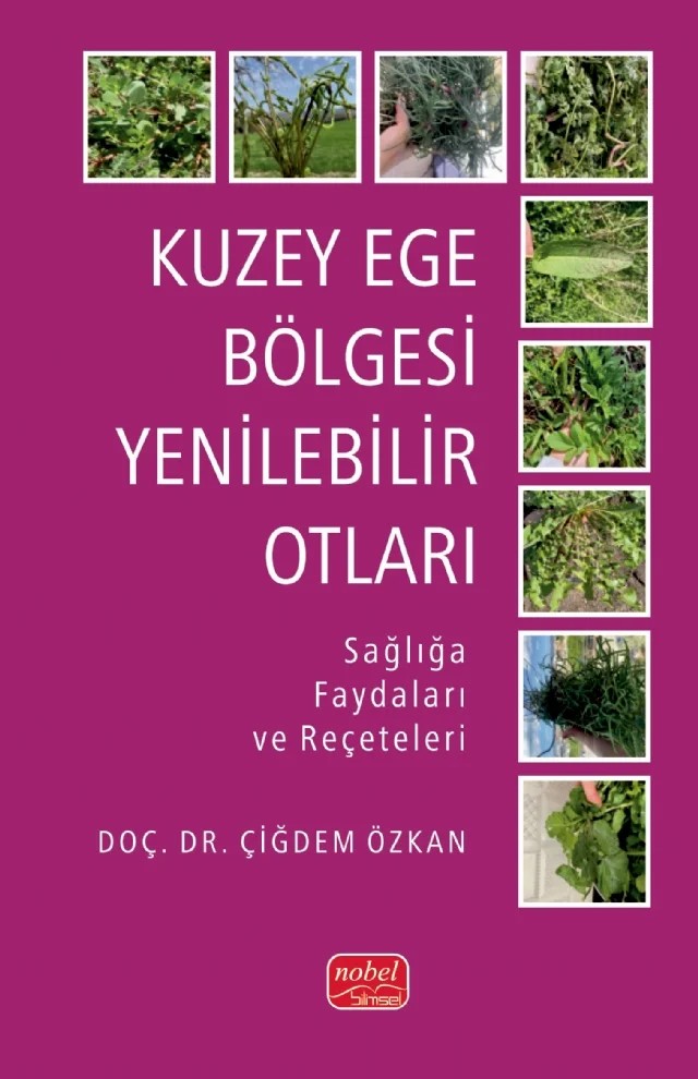 KUZEY EGE BÖLGESI YENILEBILIR OTLARI - Sağlığa Faydaları ve Reçeteleri – Çiğdem Özkan – Nobel Bilimsel Eserler kitap kapağı