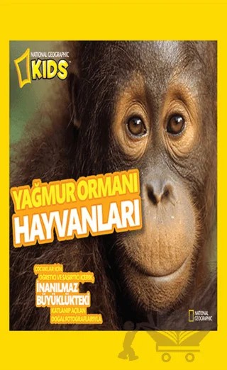 Yağmur Ormanı Hayvanları – Kolektif – Beta Kids kitap kapağı