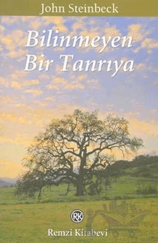 Bilinmeyen Bir Tanrıya – John Steinbeck – Remzi Kitabevi kitap kapağı