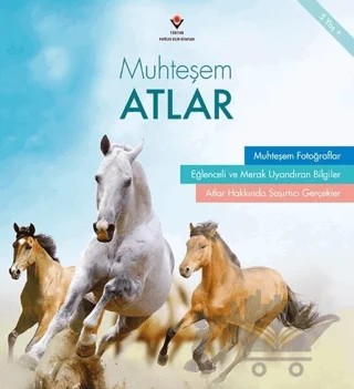 Muhteşem Atlar – Bridget Fitzgerald – TÜBİTAK Yayınları kitap kapağı