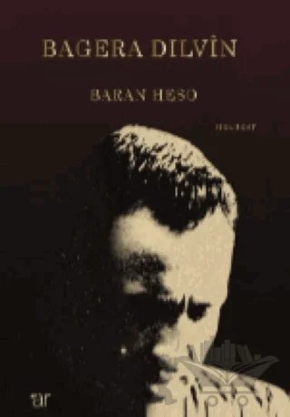 Bagera Dılvin – Baran Heso – Ar Yayınları kitap kapağı
