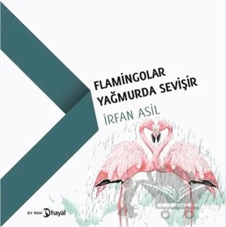 Flamingolar Yağmurda Sevişir – İrfan Asil – Hayal Yayınları kitap kapağı