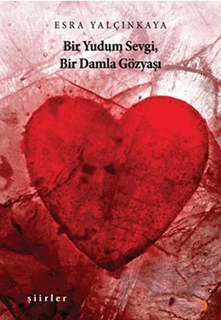 Bir Yudum Sevgi, Bir Damla Gözyaşı – Esra Yalçınkaya – Cinius Yayınları kitap kapağı