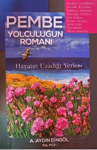 Pembe Yolculuğun Romanı – A. Aydın Bingöl – Dahi Yayıncılık kitap kapağı