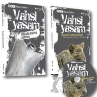 Vahşi Yaşam-Hayatta Kalma Ustaları – Kolektif – Boyut Yayın Grubu kitap kapağı