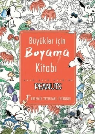 Büyükler İçin Boyama Kitabı – Kolektif – Artemis Yayınları kitap kapağı