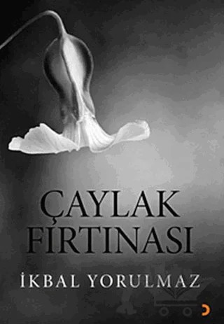 Çaylak Fırtınası – İkbal Yorulmaz – Cinius Yayınları kitap kapağı