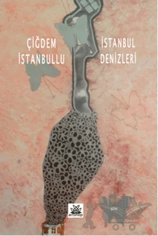 İstanbul Denizleri – Çiğdem İstanbullu – Artshop Yayıncılık kitap kapağı