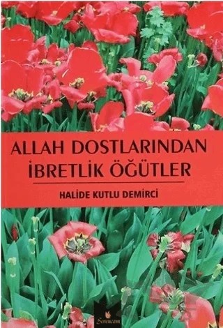 Allah Dostlarından İbretlik Öğütler – Halide Kutlu Demirci – Serencam Yayınevi kitap kapağı