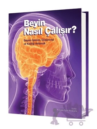 Beyin Nasıl Çalışır? – Peter Abrahams – ODTÜ Geliştirme Vakfı Yayıncılık kitap kapağı