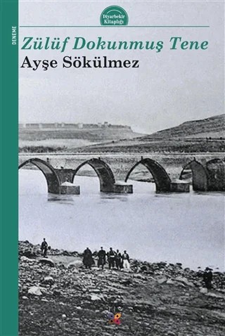 Zülüf Dokunmuş Tene – Ayşe Sökülmez – Lis Basın Yayın kitap kapağı