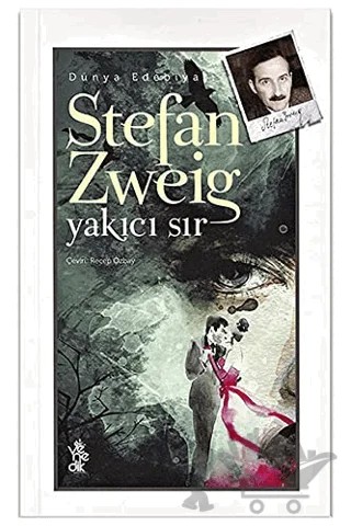 Yakıcı Sır – Stefan Zweıg – Venedik Yayınları kitap kapağı