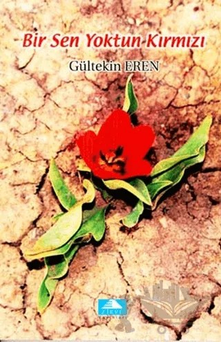 Bir Sen Yoktun Kırmızı – Gültekin Beren – Doruk Yayınları kitap kapağı