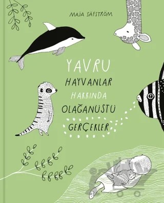Yavru Hayvanlar Hakkında Olağanüstü Gerçekler – Maja Säfström – MEAV Yayıncılık kitap kapağı