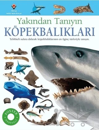 Köpekbalıkları - Yakından Tanıyın – Miranda McQuitty – TÜBİTAK Yayınları kitap kapağı