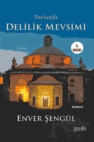 Darüşşifa - Delilik Mevsimi – Enver Şengül – Puslu Yayıncılık kitap kapağı