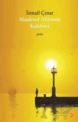 Maalesef Aklımda Kaldınız – İsmail Çınar – Cinius Yayınları kitap kapağı