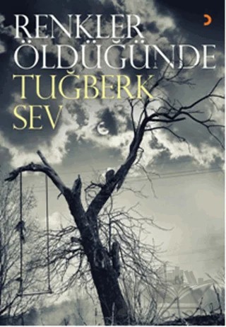 Renkler Öldüğünde – Tuğberk Sev – Cinius Yayınları kitap kapağı