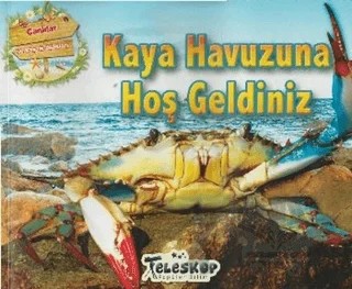 Kaya Havuzuna Hoş Geldiniz - Canlılar ve Yaşam Alanları – Kolektif – Teleskop Popüler Bilim kitap kapağı