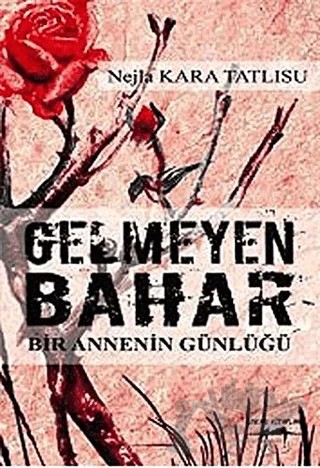 Gelmeyen Bahar – Nejla Kara Tatlısu – Sokak Kitapları Yayınları kitap kapağı