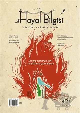 Hayal Bilgisi Dergisi Sayı: 42 Sonbahar 2021 – Hayal Bilgisi Dergisi kitap kapağı