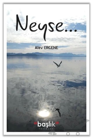 Neyse... – Alev Ergene – Başlık Yayınları kitap kapağı