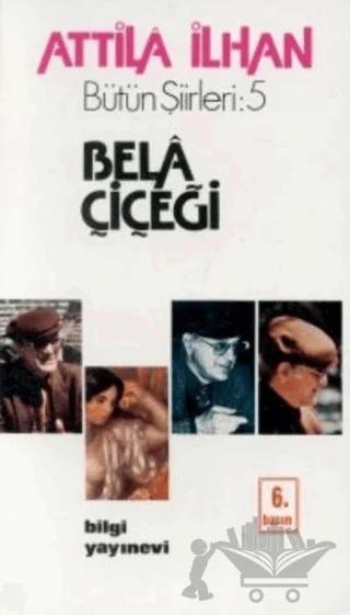 Bela Çiçeği