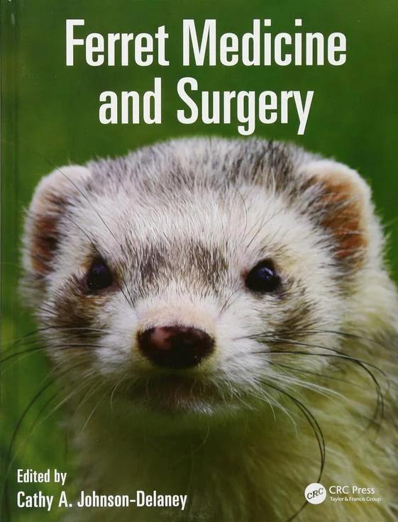 CURRENT Medical Diagnosis and Treatment 2026