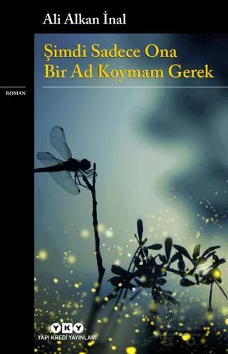 Şimdi Sadece Ona Bir Ad Koymam Gerek