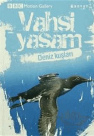 Vahşi Yaşam-Deniz Kuşları