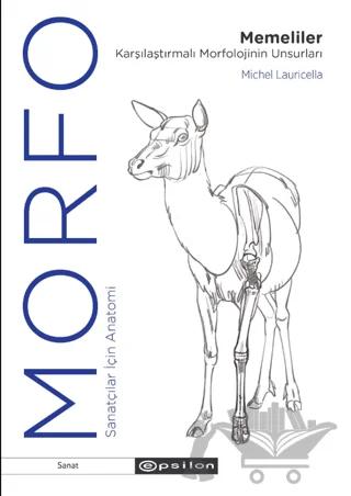 Morfo Memeliler Karşılaştırmalı Morfolojinin Unsurları