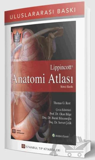 Lippincott Anatomi Atlası